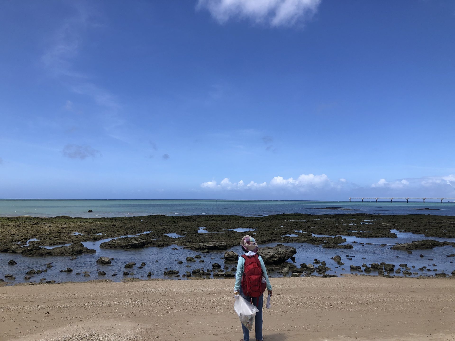 夏到来！個人のゴミ拾いに必要なもの・注意点・継続に役立つツール~ Beach Clean ~